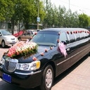 专业婚车车队 重庆最专业婚车车队  重庆尊瑞租车