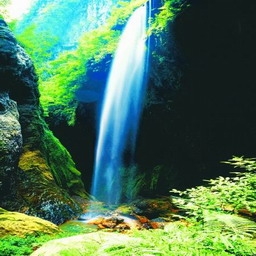 仙女山踏青--仙女山、天坑三桥一日游