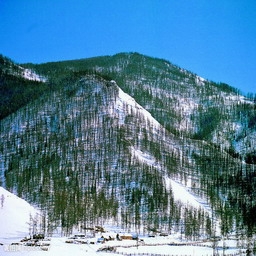 冰雪仙女山--仙女山、（天坑）一日游