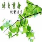 重庆广告制作公司