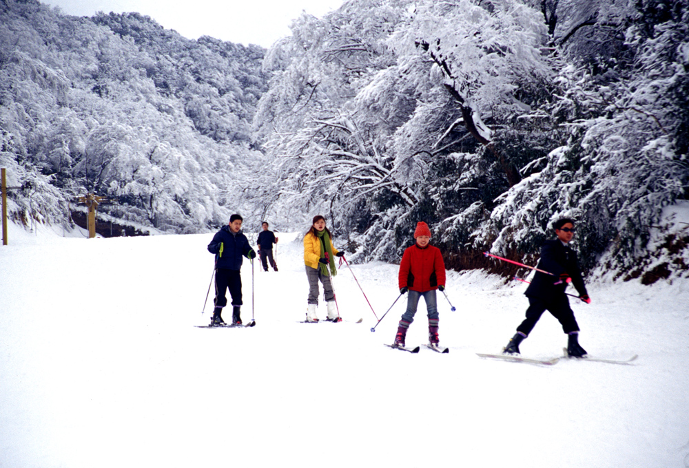 金佛山滑雪