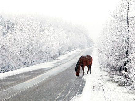 重庆雪景