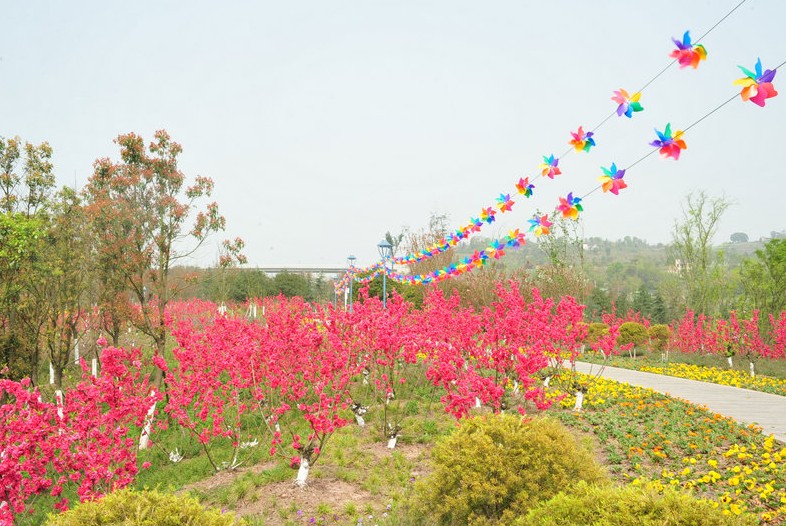 长寿风车节